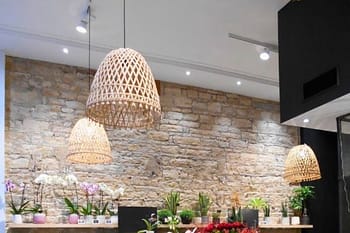 éclairage professionnel Auvergne Rhône-Alpes